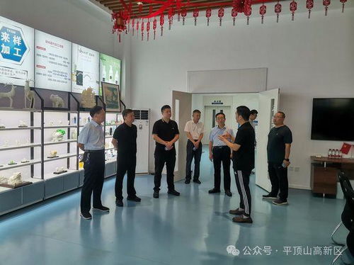 刘永魁莅临高新区调研大众创业孵化基地建设工作