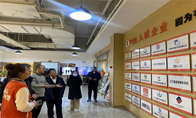省级创业孵化示范基地评审组来丹考评创业孵化基地