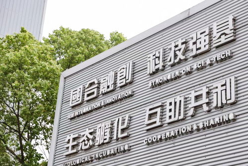 国合基地创新创业热土 6年孵化科技企业61家,集聚有效专利逾百项