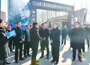 强 五提 促转型丨全市项目建设推进观摩团在我区观摩