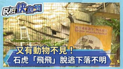 激发创业热情,投身新型手机斩月屠龙H5行业