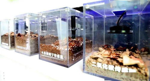 让孵化器更好发挥 孵化 作用,菊园加快打造环微系统所创新创业生态圈