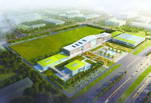 大鹏展翅 武汉造 火箭将亮相新洲