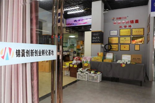 我县首家省级创业孵化示范基地产生